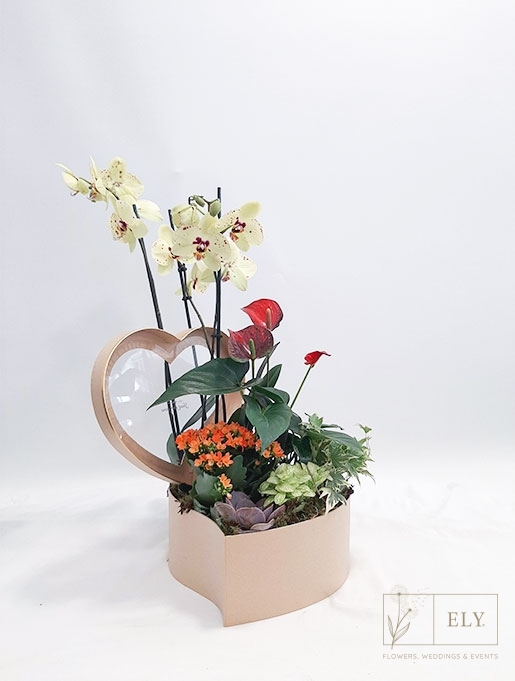 Florista Online - Box Alcantarilha - Caixa com Flores - 75,00€